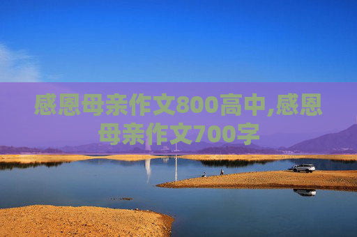 感恩母亲作文800高中,感恩母亲作文700字