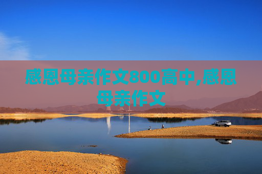 感恩母亲作文800高中,感恩母亲作文