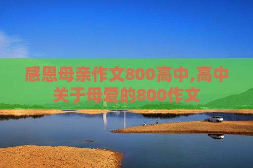 感恩母亲作文800高中,高中关于母爱的800作文