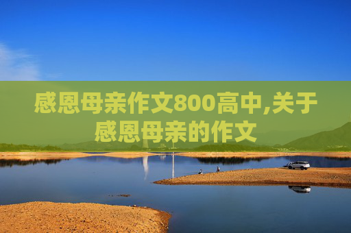 感恩母亲作文800高中,关于感恩母亲的作文