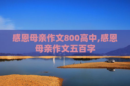 感恩母亲作文800高中,感恩母亲作文五百字