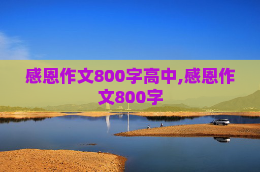 感恩作文800字高中,感恩作文800字