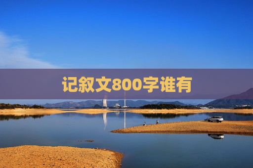记叙文800字谁有