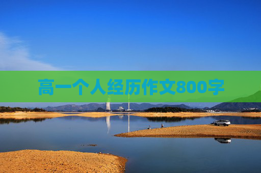 高一个人经历作文800字