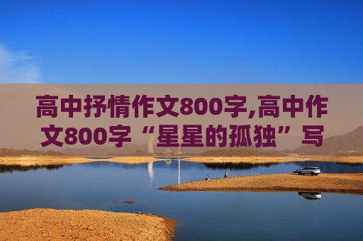 高中抒情作文800字,高中作文800字“星星的孤独”写景抒情