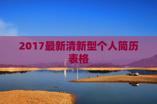 2017最新清新型个人简历表格