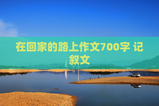 在回家的路上作文700字 记叙文