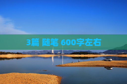 3篇 随笔 600字左右