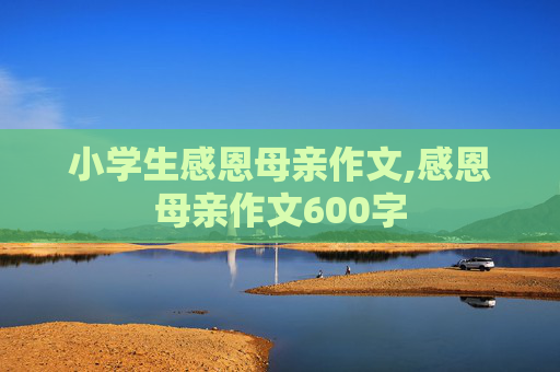 小学生感恩母亲作文,感恩母亲作文600字