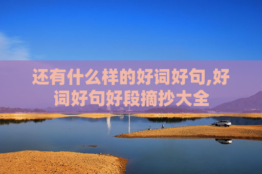 还有什么样的好词好句,好词好句好段摘抄大全
