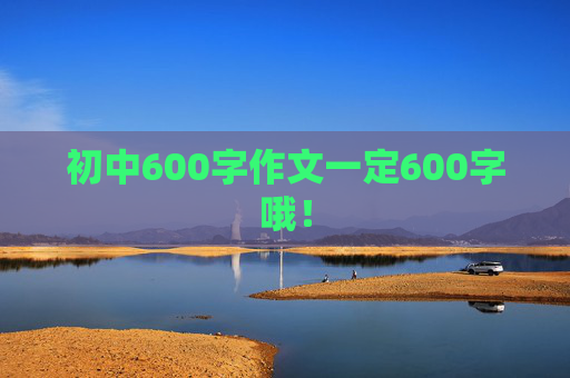 初中600字作文一定600字哦！