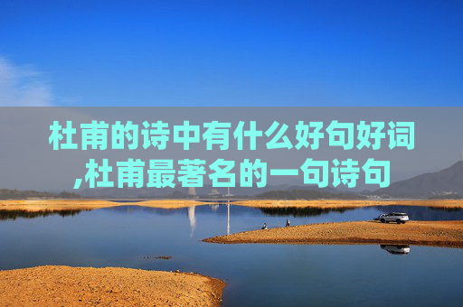 杜甫的诗中有什么好句好词,杜甫最著名的一句诗句
