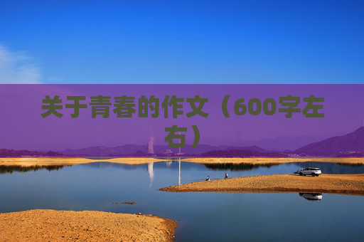 关于青春的作文（600字左右）
