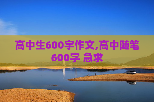 高中生600字作文,高中随笔600字 急求