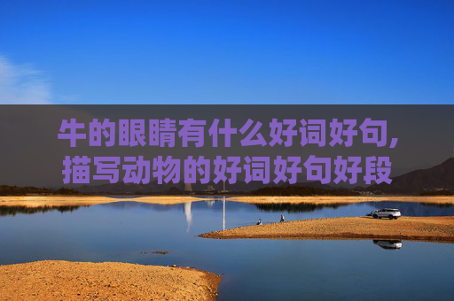 牛的眼睛有什么好词好句,描写动物的好词好句好段