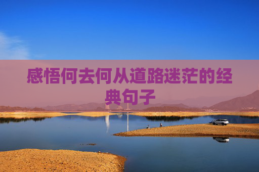 感悟何去何从道路迷茫的经典句子