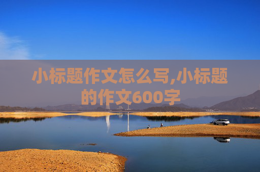 小标题作文怎么写,小标题的作文600字