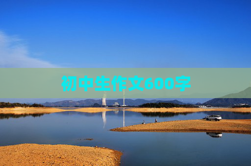 初中生作文600字