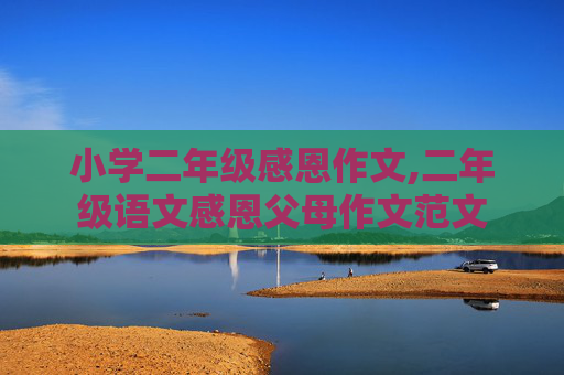 小学二年级感恩作文,二年级语文感恩父母作文范文