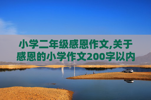小学二年级感恩作文,关于感恩的小学作文200字以内