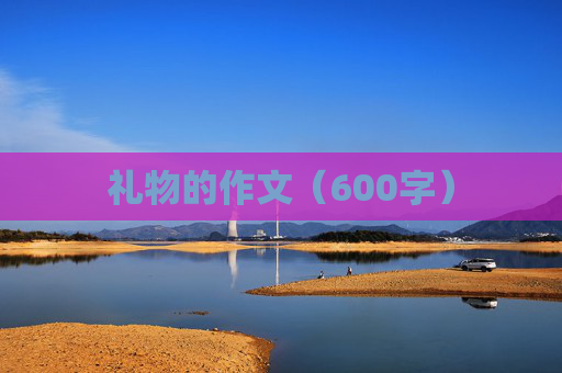 礼物的作文（600字）