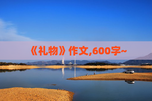 《礼物》作文,600字~