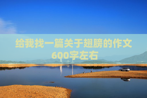 给我找一篇关于翅膀的作文 600字左右
