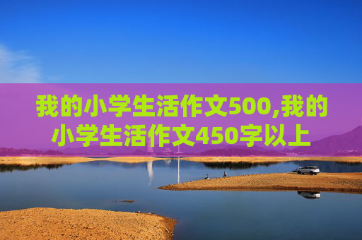 我的小学生活作文500,我的小学生活作文450字以上