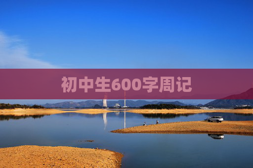 初中生600字周记