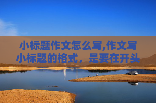 小标题作文怎么写,作文写小标题的格式，是要在开头空两 格吗还是直接写