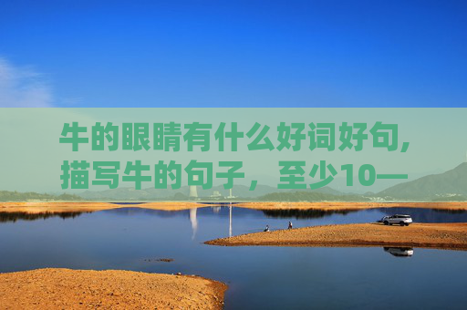 牛的眼睛有什么好词好句,描写牛的句子，至少10——15句（字数要多）