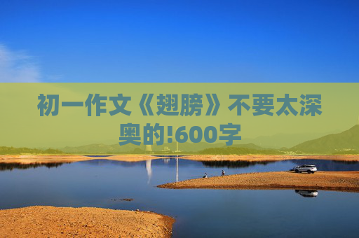初一作文《翅膀》不要太深奥的!600字