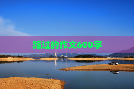 路过的作文600字