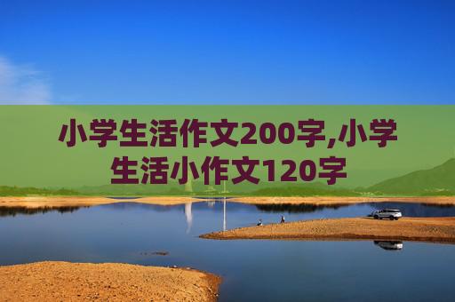 小学生活作文200字,小学生活小作文120字