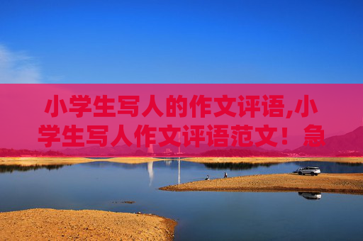 小学生写人的作文评语,小学生写人作文评语范文！急！！！