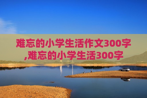 难忘的小学生活作文300字,难忘的小学生活300字