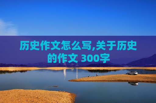 历史作文怎么写,关于历史的作文 300字