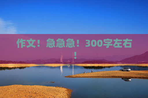 作文！急急急！300字左右！
