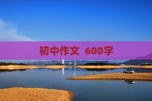 初中作文  600字