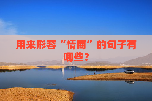 用来形容“情商”的句子有哪些？