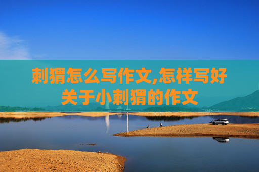 刺猬怎么写作文,怎样写好关于小刺猬的作文