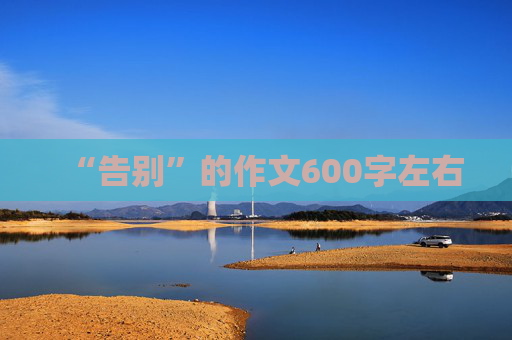 “告别”的作文600字左右