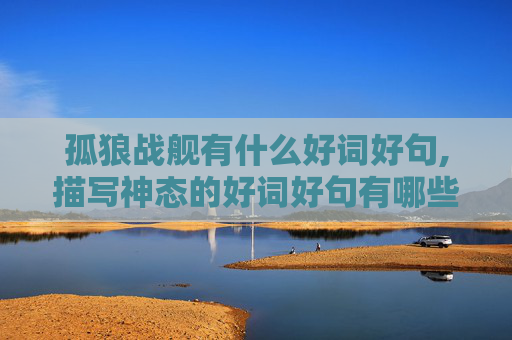 孤狼战舰有什么好词好句,描写神态的好词好句有哪些？