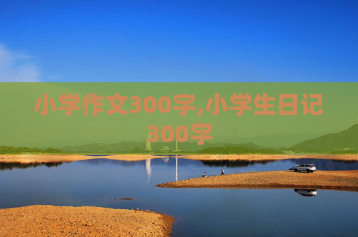 小学作文300字,小学生日记300字