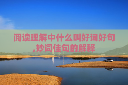 阅读理解中什么叫好词好句,妙词佳句的解释