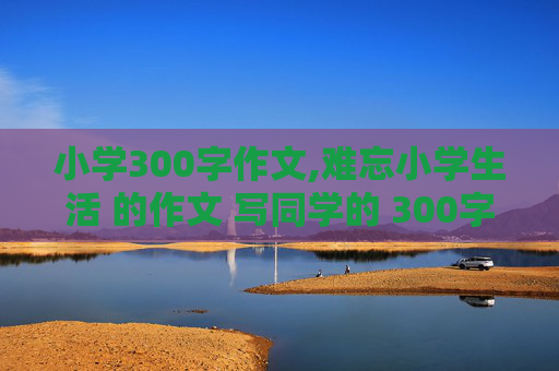 小学300字作文,难忘小学生活 的作文 写同学的 300字左右 谢谢！