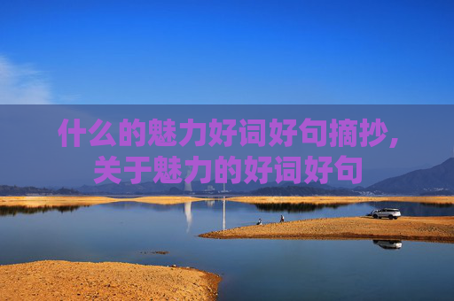 什么的魅力好词好句摘抄,关于魅力的好词好句
