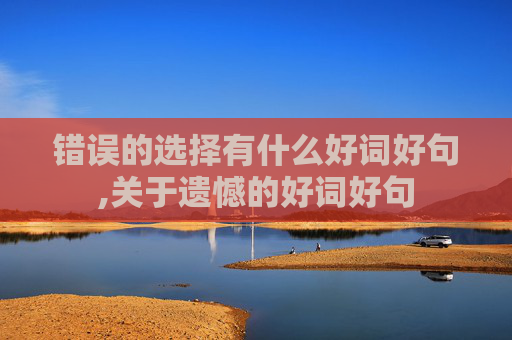 错误的选择有什么好词好句,关于遗憾的好词好句