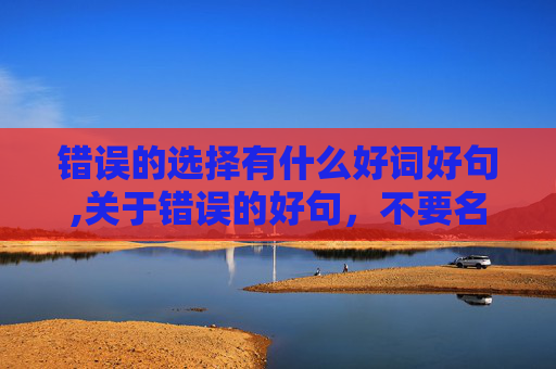 错误的选择有什么好词好句,关于错误的好句，不要名言警句！！！
