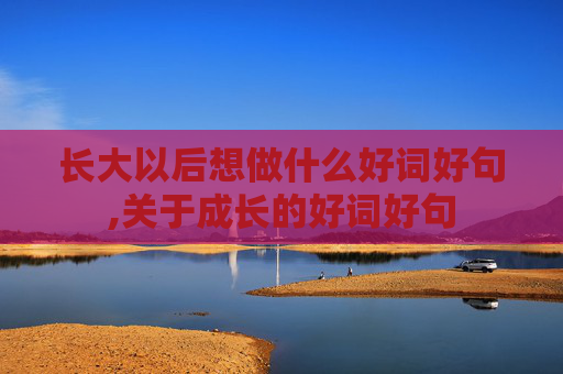 长大以后想做什么好词好句,关于成长的好词好句
